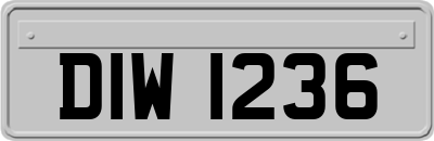 DIW1236