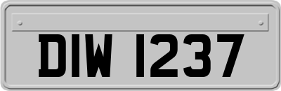 DIW1237