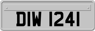 DIW1241