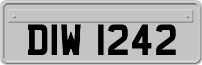 DIW1242