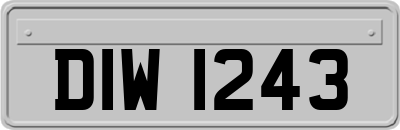 DIW1243