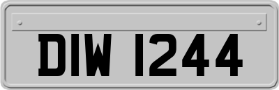 DIW1244