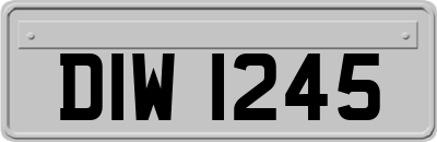 DIW1245