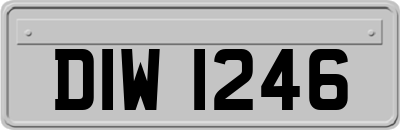 DIW1246