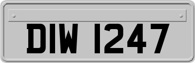 DIW1247