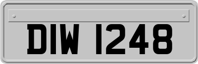 DIW1248