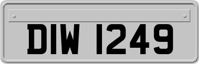 DIW1249