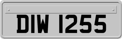 DIW1255