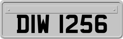 DIW1256