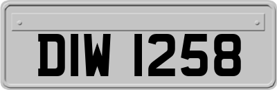 DIW1258