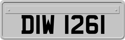 DIW1261