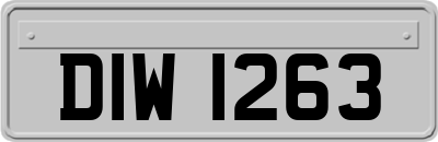 DIW1263