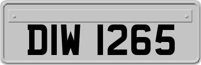 DIW1265