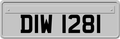 DIW1281