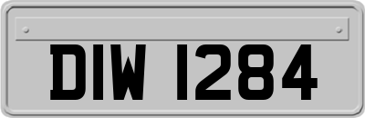 DIW1284