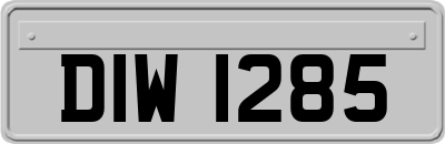 DIW1285