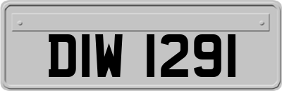 DIW1291