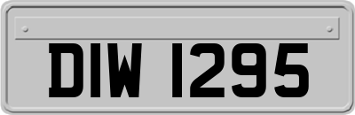 DIW1295