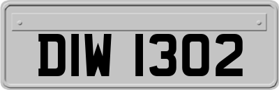 DIW1302
