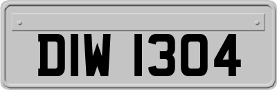 DIW1304