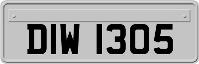 DIW1305
