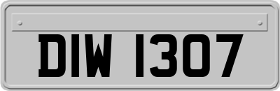 DIW1307