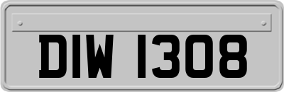 DIW1308