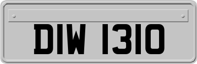 DIW1310