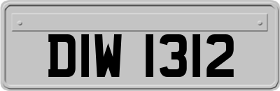 DIW1312