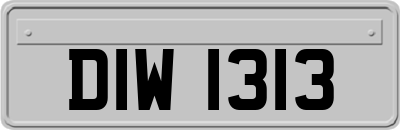 DIW1313