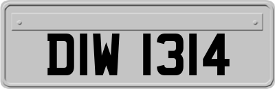 DIW1314