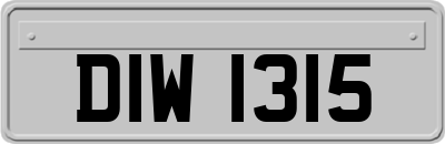DIW1315