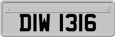 DIW1316