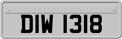 DIW1318