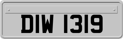 DIW1319