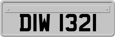 DIW1321