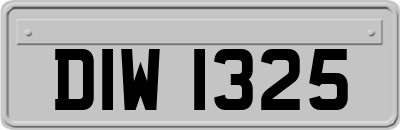DIW1325