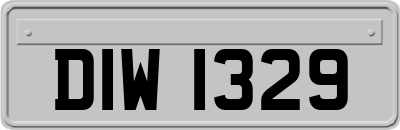 DIW1329