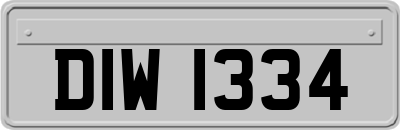 DIW1334