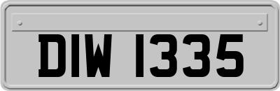 DIW1335