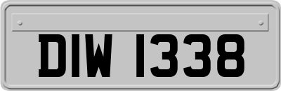 DIW1338