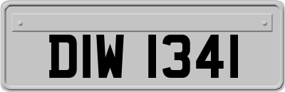 DIW1341