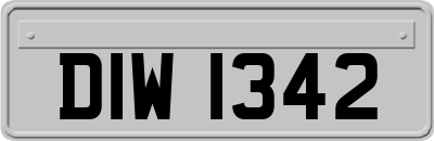 DIW1342