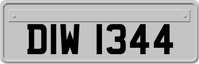 DIW1344