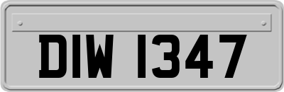 DIW1347