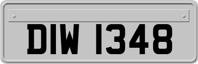 DIW1348