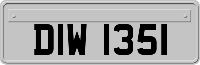DIW1351