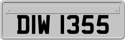 DIW1355