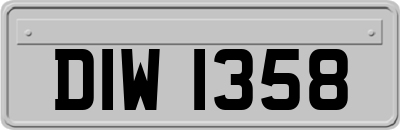 DIW1358