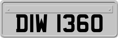 DIW1360